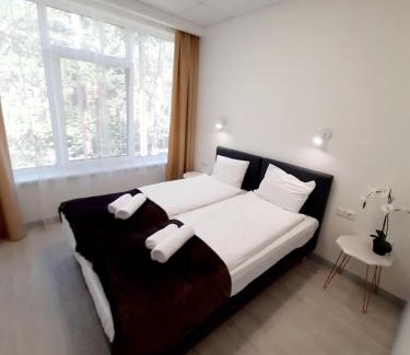 Plavniekkalns Apartment | Apartments Daina