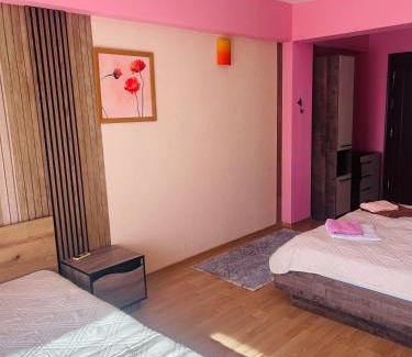 Primorski Apartment | Apartments for guests "Einstein"