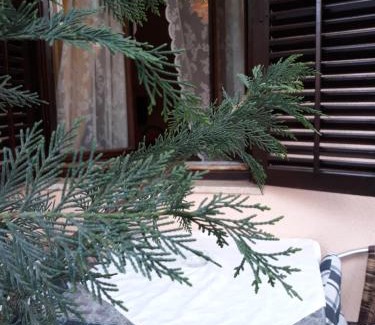 Rovinj Apartment | Apartments Garden