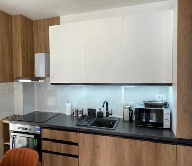 Kolasin Apartment | Apartments Gora