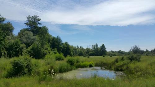 Weil am Rhein Apartment | Apartments Im Sportpark