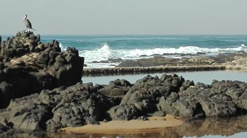 Umhlali Beach Apartment | Apartments in Ballito, South Africa
