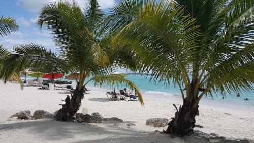 Saint Lawrence Apartment | Apartments in Bridgetown, Barbados