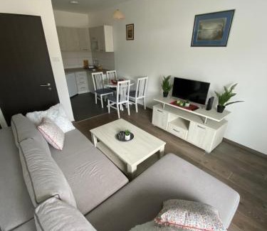 Zlatibor Apartment | Apartments in Serbia