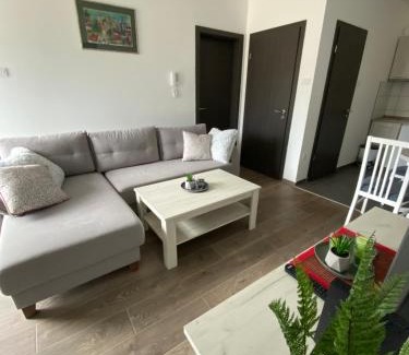 Zlatibor Apartment | Apartments in Serbia