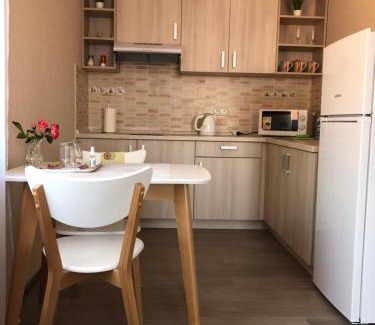 Molodizhne Apartment | Apartments IRIS