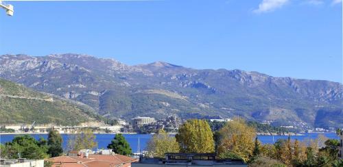 Gospostina Apartment | Apartments Ivanovic