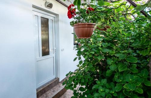 Brulo Apartment | Apartments Lea Poreč