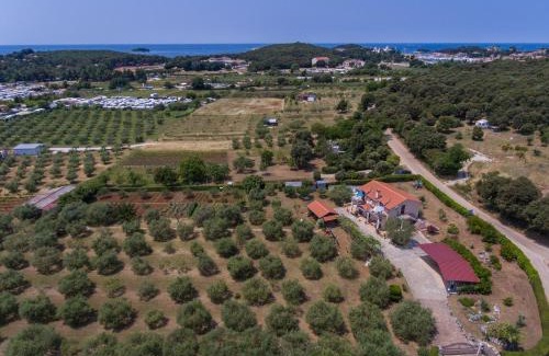 Vrsar Apartment | Apartments Mirjana