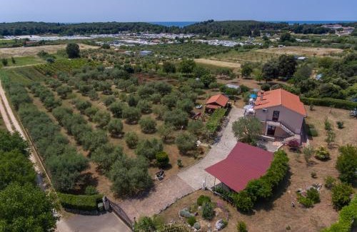 Vrsar Apartment | Apartments Mirjana