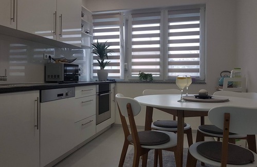 Mali Radic Apartment | Apartments Pleša - One Bedroom Apartment in City Center