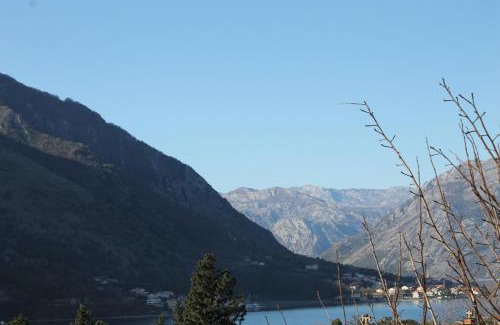 Kotor Apartment | Apartments Samardzic