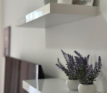 Alipasin Most Apartment | Apartments Sarajevo Nova Otoka