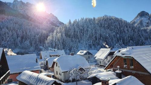 Kranjska Gora Apartment | Apartments Seventy Seven
