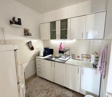 Ilidza Apartment | Apartments Tibra