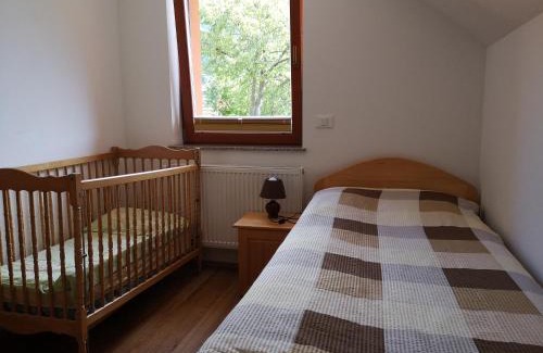 Kamnik Apartment | Apartments Trebušak