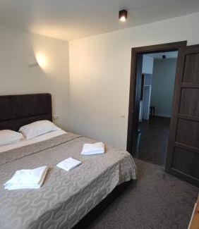Tatariv Apartment | Apartments Venterivka 1