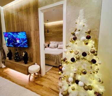 Bjelasnica Apartment | Apartments VIP ONLY