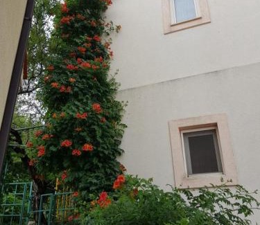 Igrane Apartment | Apartments Vrtina