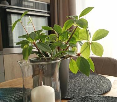 Virsuliskes Apartment | Apartments with a balcony and an impressive terrace on the roof of the house
