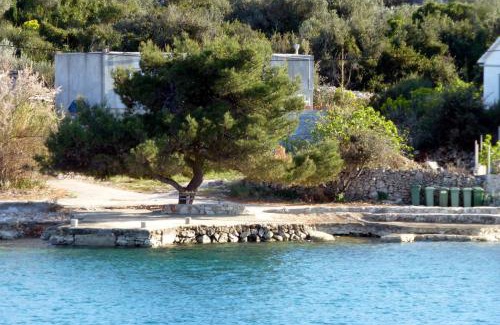 Mali Iz Apartment | Apartments with a parking space Mali Iz (Iz) - 16535