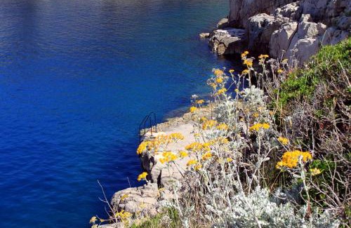 Veli Losinj Apartment | Apartments with parking space Veli Losinj, Losinj - 19700
