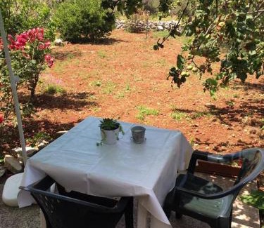 Bozava Apartment | Apartments with parking space Bozava, Dugi otok - 8108
