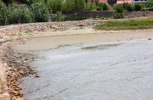 Suha Punta Apartment | Apartments with parking space Kampor, Rab - 5000