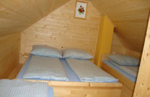 Gorenja vas-Poljane Apartment | Apartments Za Grapo