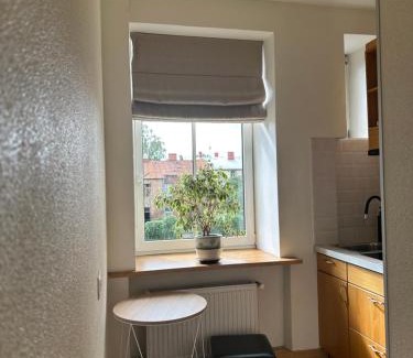 Grizinkalns Apartment | ApartmentTallinas70B