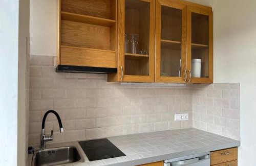 Grizinkalns Apartment | ApartmentTallinas70B
