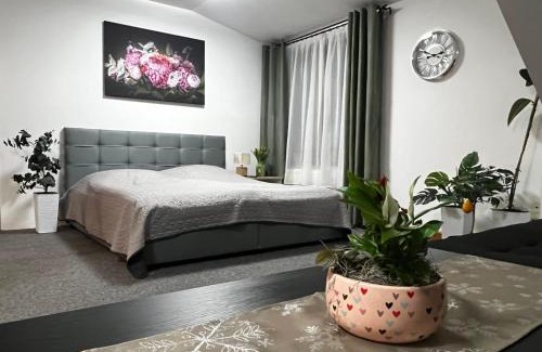 Martin Apartment | Apartnám Lucy