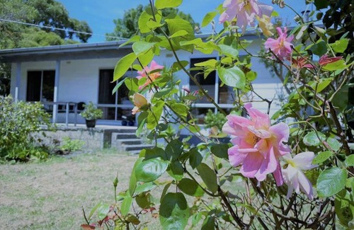 Apollo Bay House | Apollo bay Holiday House