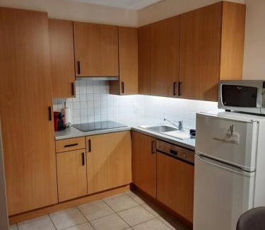 Nieuwpoort-aan-Zee Apartment | Apollo Duinzicht