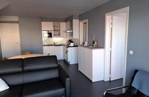Nieuwpoort-aan-Zee Apartment | Apollo X with seaview