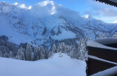 Schroecken Apartment | App. for 2 persons TOP 7 - Sportappart Hochtannberg