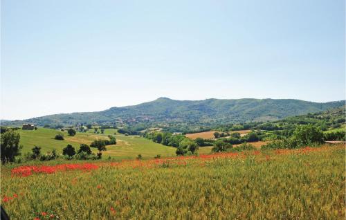 Piegaro Apartment | App Greppo B