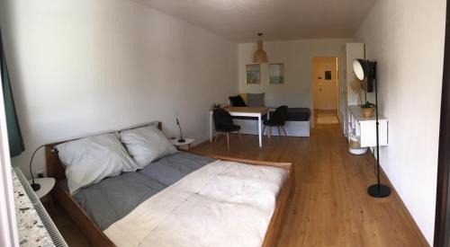 Saalfelden am Steinernen Meer Apartment | Appartement Hochkönigreich