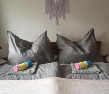 Saalfelden am Steinernen Meer Apartment | Appartement Hochkönigreich