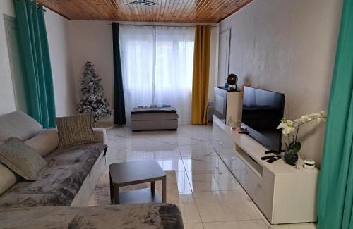 Saint-Priest House | Apparemment T11