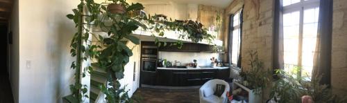 Capucins - Victoire Apartment | Appart 18esiecle proche Centre Ville Pierre Plantes Bohéme LGBT