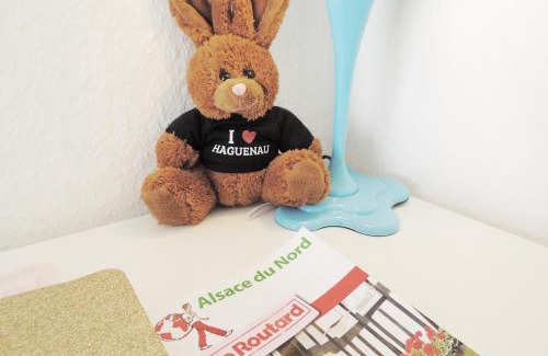 Haguenau Apartment | Appart'AZUR Haguenau - Centre Grand'Rue - Logement entier pour voyageur pro