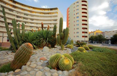 Clemenceau Apartment | Appart-Hôtel Mer & Golf City Perpignan Centre
