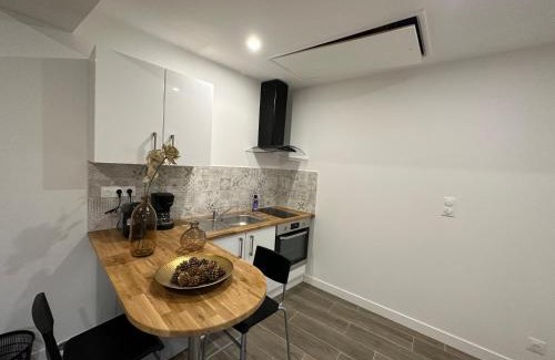 Orleans House | Appart , maison, équipée avec terrasse ,près centre ville