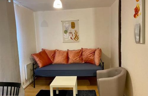 Souligne-sous-Ballon Apartment | Appart T2 Cozy City Center