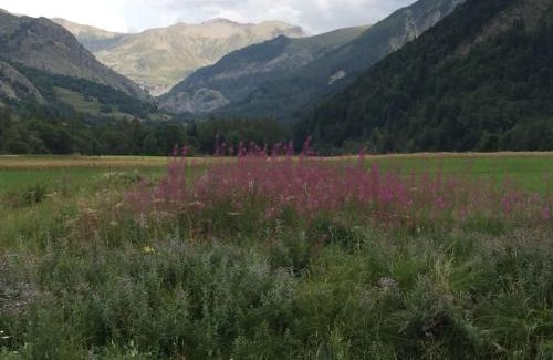 Ancelle Apartment | Appart très ensoleillé 5-6 pers au pied des pistes