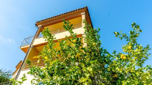 Schifoni Apartment | Appartamenti Dodi LT - PMS CaseVacanze