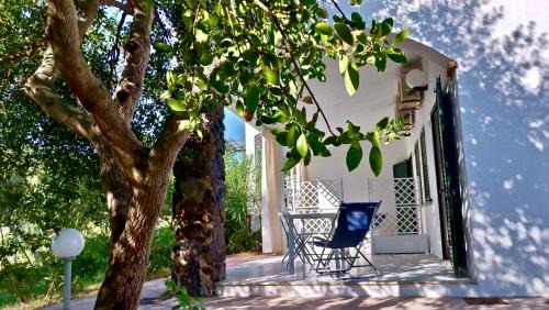 Torre di Bari Apartment | Appartamenti Su Nenneri
