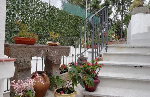 Porto Alabe Apartment | Appartamento Bouganville