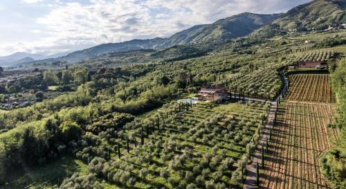 Capannori Apartment | Appartamento con vista panoramica e piscina